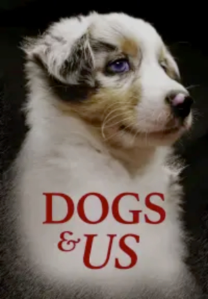 Dogs & Us - The Secret of a Friendship