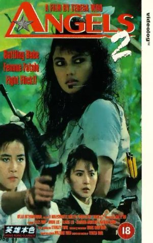 Fighting Madam 2