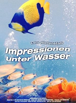 Impressionen unter Wasser