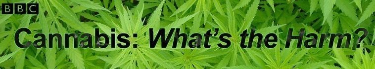 Cannabis: What's the Harm