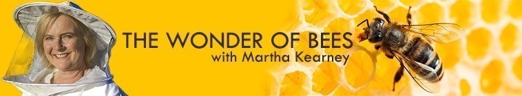 The Wonder Of Bees with Martha Kearney